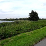 1408F 093 Havel-Radweg